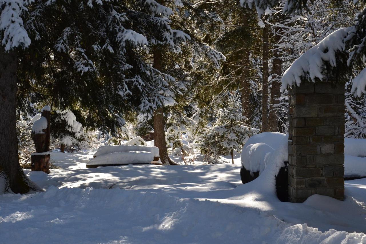 Alle Pendici Del Monte Rosa Champoluc Buitenkant foto